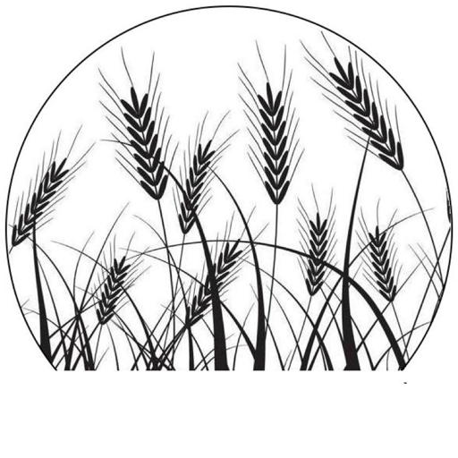 Heritage Grain Alliance